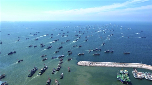 昨日黄渤海正式开渔,我省14000艘渔船竞发
